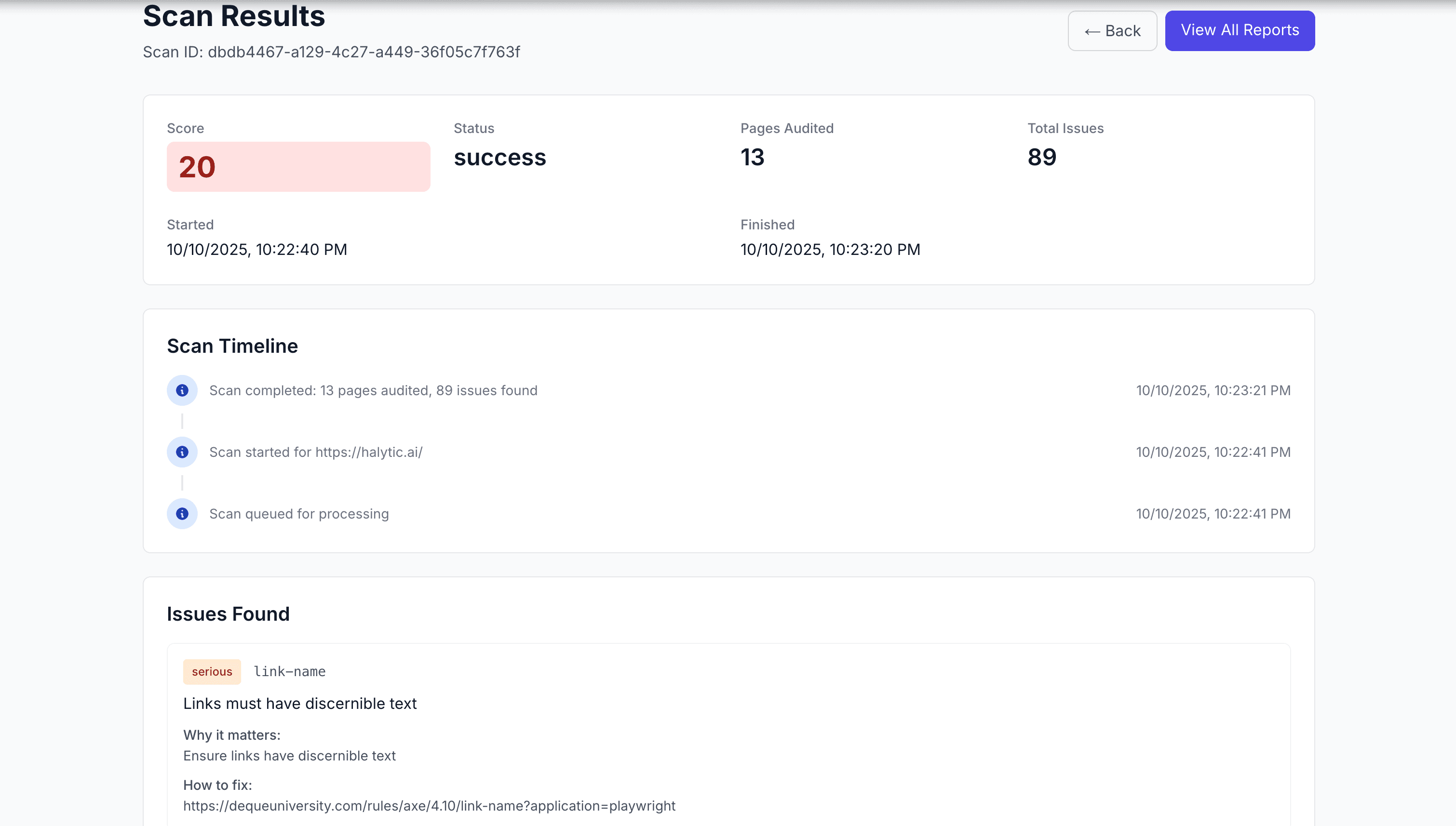 Halytic scan results dashboard showing accessibility score, pages audited, and detailed issue breakdown